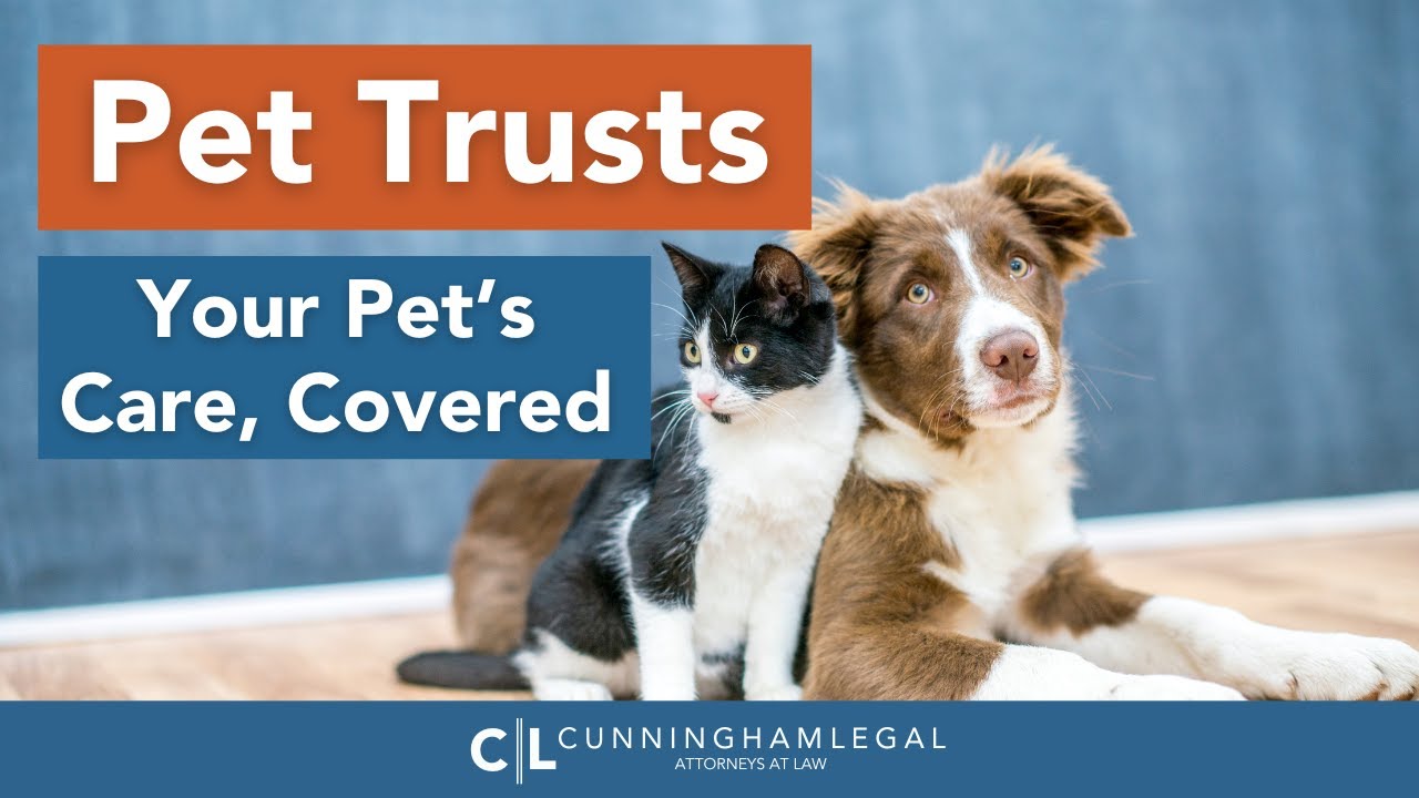Pet Trusts: Your Pet’s Care, Covered