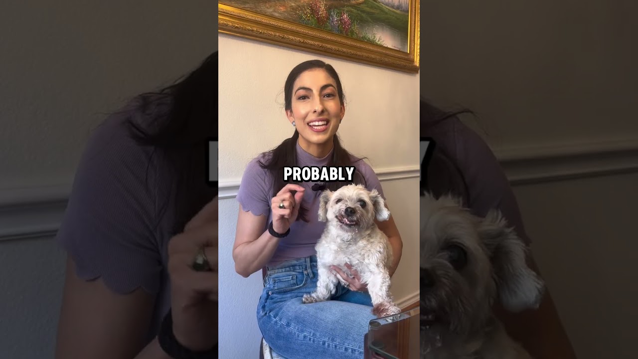 How to Write Off Your Pet