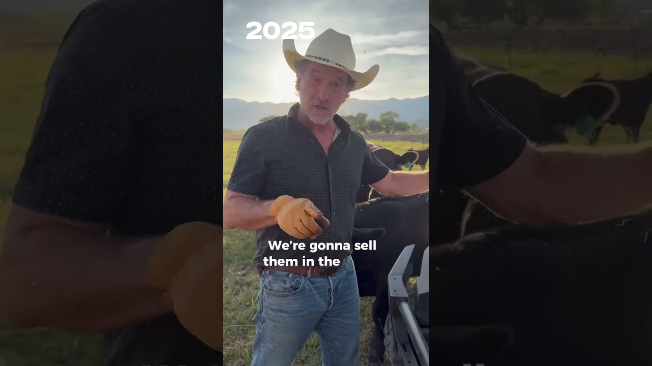 Can You Really Buy Cattle With HSA Money?